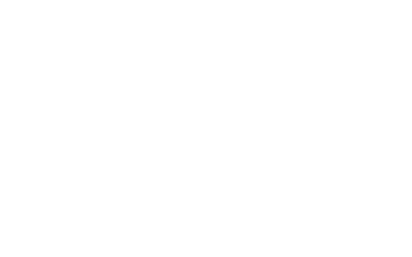 TikTok Shop